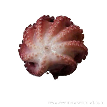 frozen ball shaped octopus